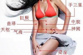 最全高清人体穴位图及穴位图解大全
