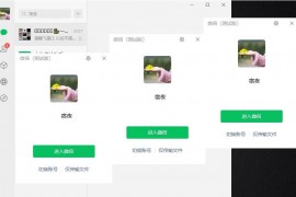 微信Windows版 v4.1.5.20 多开&消息防撤回正式版绿色版x64位（11.25更新）