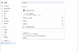 Google Chrome v146.0.7680.72便携增强版