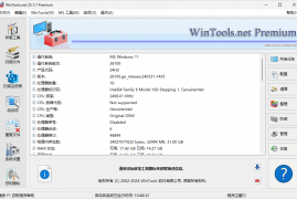 WinTools.net Premium v25.8.1 老牌电脑系统优化软件 