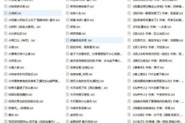 《两性完结小说合集1700+》一次看个够[txt]