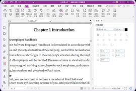 福昕高级PDF编辑器v14.0.3.33502专业版