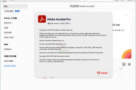 Acrobat Pro DC 2026.002.21901绿色版