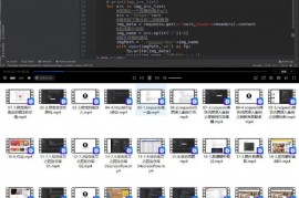 《Python超强爬虫》8天速成各种网站实战