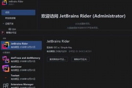 Rider v2026.1.0.0 高级版