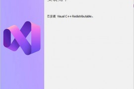 Visual C++运行库合集 v104.0