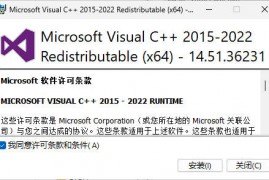Microsoft Visual C++ 2022 14.51.36231.0