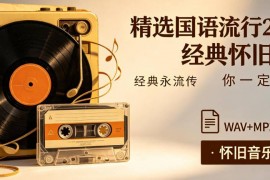 精选国语流行200首经典怀旧旋律你一定都听过