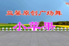 广场舞视频教学500首