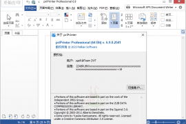 priPrinter专业版是一款免费的虚拟打印机软件及网络打印机程序