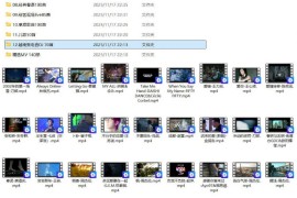 2025年车载无损高音质MP3+MV