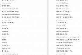 汉字转拼音 v.1.0 支持导出excel、word